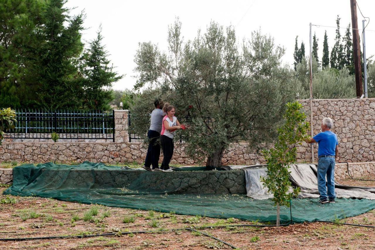 Villa Hermes Porto Heli Dış mekan fotoğraf